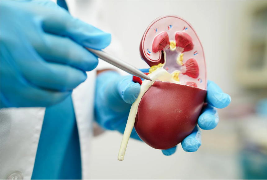 Urología general